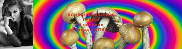 прущий лед Вязники